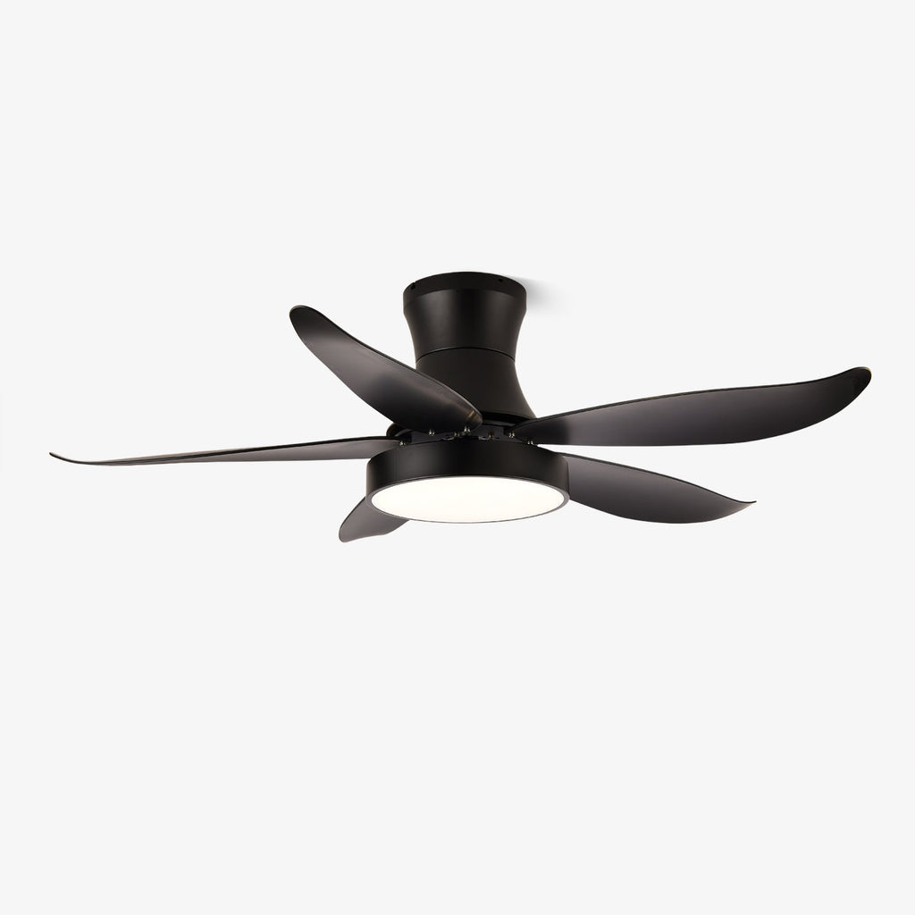 Aveline Modern Black Ceiling Fan Light