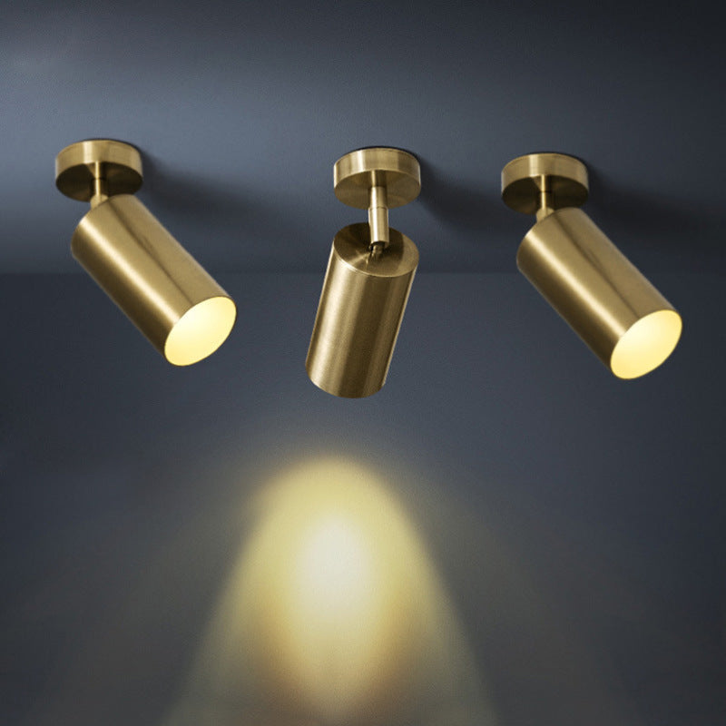 Arisha Moderno Cylinder Spotlight Background Flush Mount Ceiling Light