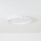 Arisha Modern Flush Mount Ceiling Light Ring