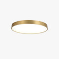 Arisha Nordic LED Round Flush Mount Ceiling Light &Acrylic