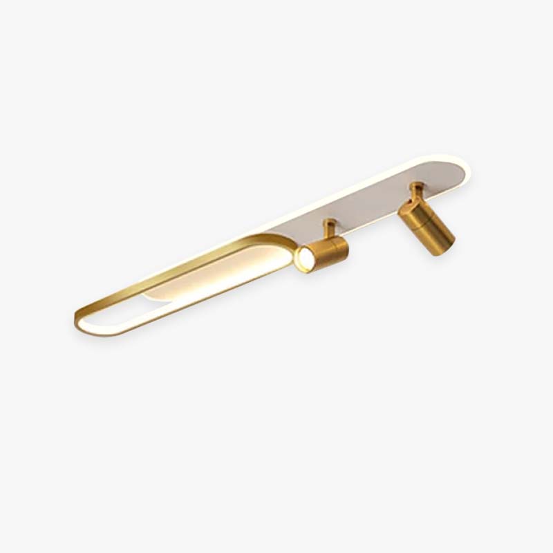 Aim Modern Ceiling Light Spotlight