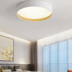 Arisha Modern Round Flush Mount Ceiling Light