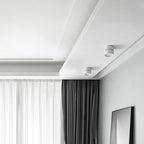 Arisha Flush Mount Ceiling Light Cylindrical Modern Hallway