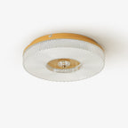 Solara Ceiling Lamp LED Flush Mount Acrylic
