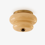 Curvaceous Modern Glass & Wood Ceiling Light