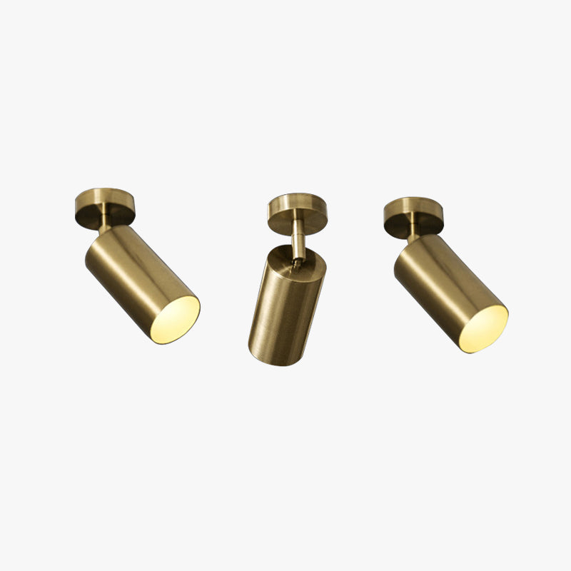 Arisha Moderno Cylinder Spotlight Background Flush Mount Ceiling Light