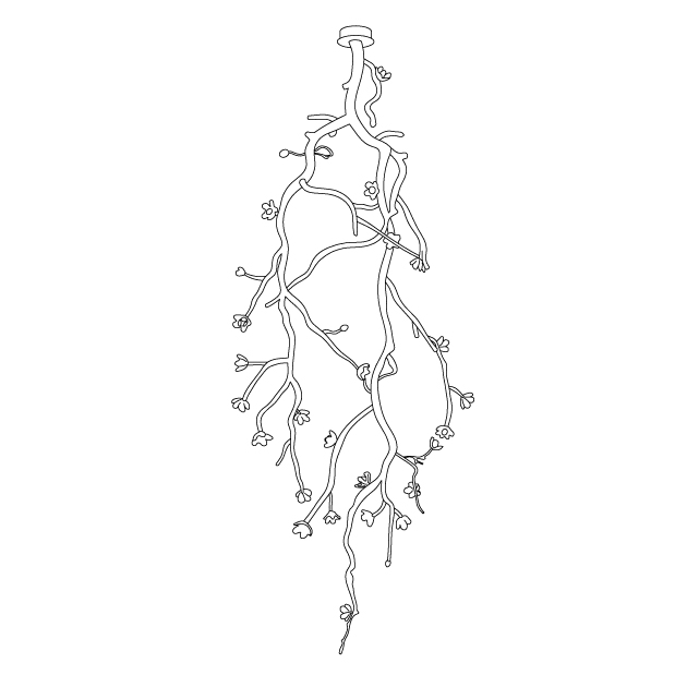 Lustra Chandelier Black Branch Flower