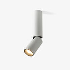 Elvynira Adjustable Surface Downlight Ceiling lamp