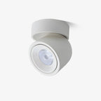 Clara Modern Minimalist Rotating Surface Downlight Ceiling lamp