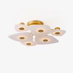 Ilsilyra Petal Shaped Glass Ceiling Light