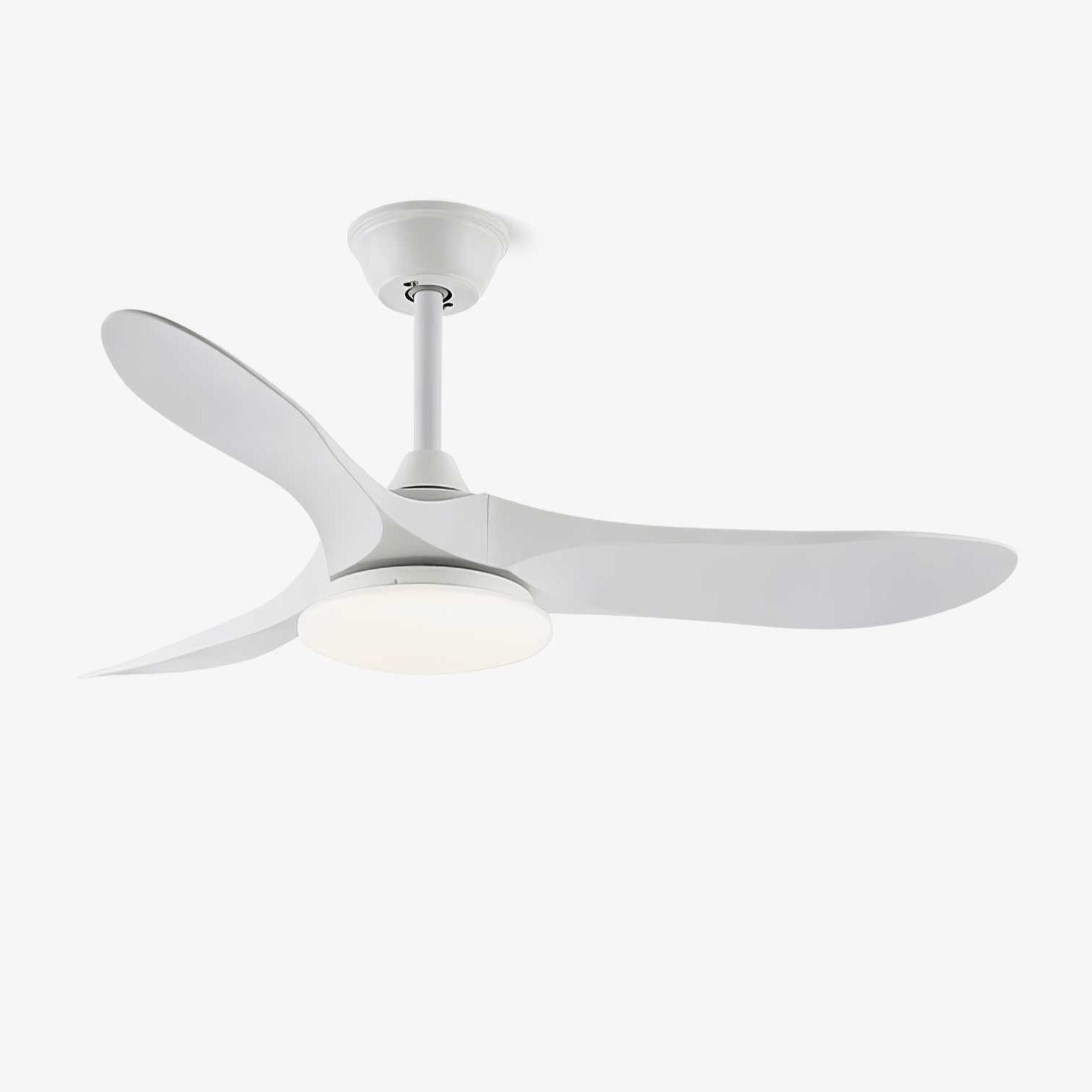 Elora Minimalist Ceiling Fan Light