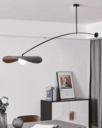 Arcflow Dynamic Curve Pendant Light