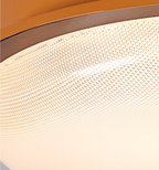 Caelan Modern Metal Ceiling Light