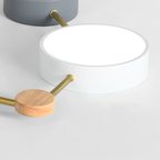 Arisha Modern LED Ceiling Light Acrylic Log Living Room Bedroom White Grey
