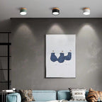 Valentina Modern Cylindrical /Acrylic Flush Mount Ceiling Light Hallway