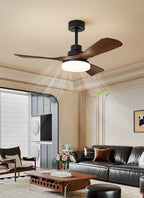 Nilo Minimalist Metal Ceiling Fan Light