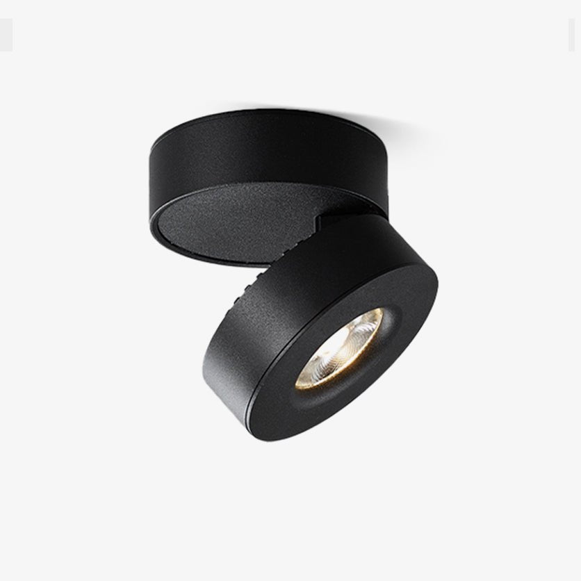 Colorara Modern Minimalist Adjustable Surface Downlight Ceiling lamp