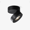 Colorara Modern Minimalist Adjustable Surface Downlight Ceiling lamp