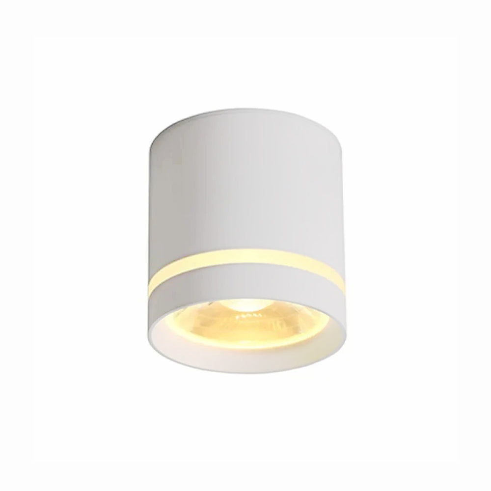 Arisha Ceiling Light Mini Modern Bedroom Living Room