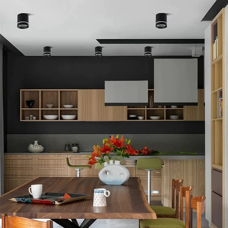 Arisha Ceiling Light Mini Modern Bedroom Living Room