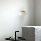 Arisha Minimalist Wood Pendant Light