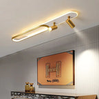 Aim Modern Ceiling Light Spotlight