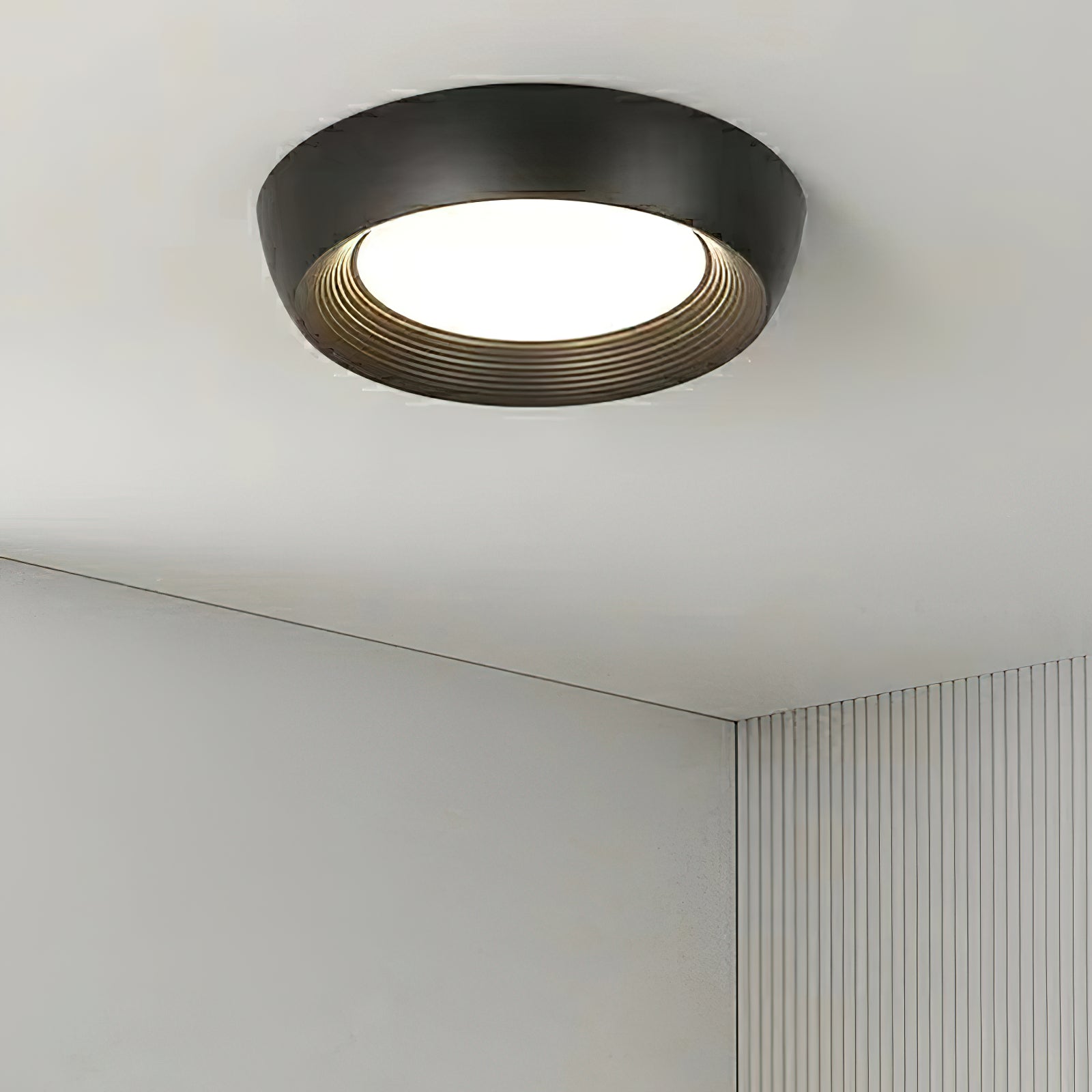 Minimalist Duncan  Ceiling Light