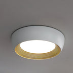 Minimalist Duncan  Ceiling Light