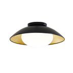 Arinora Ceiling Light
