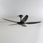 Onyxa Minimalist Ceiling Fan Light
