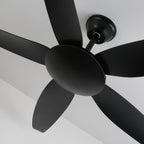 Onyxa Minimalist Ceiling Fan Light
