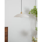 Ljomuvyd Individual Creativity Dome Pendant Light