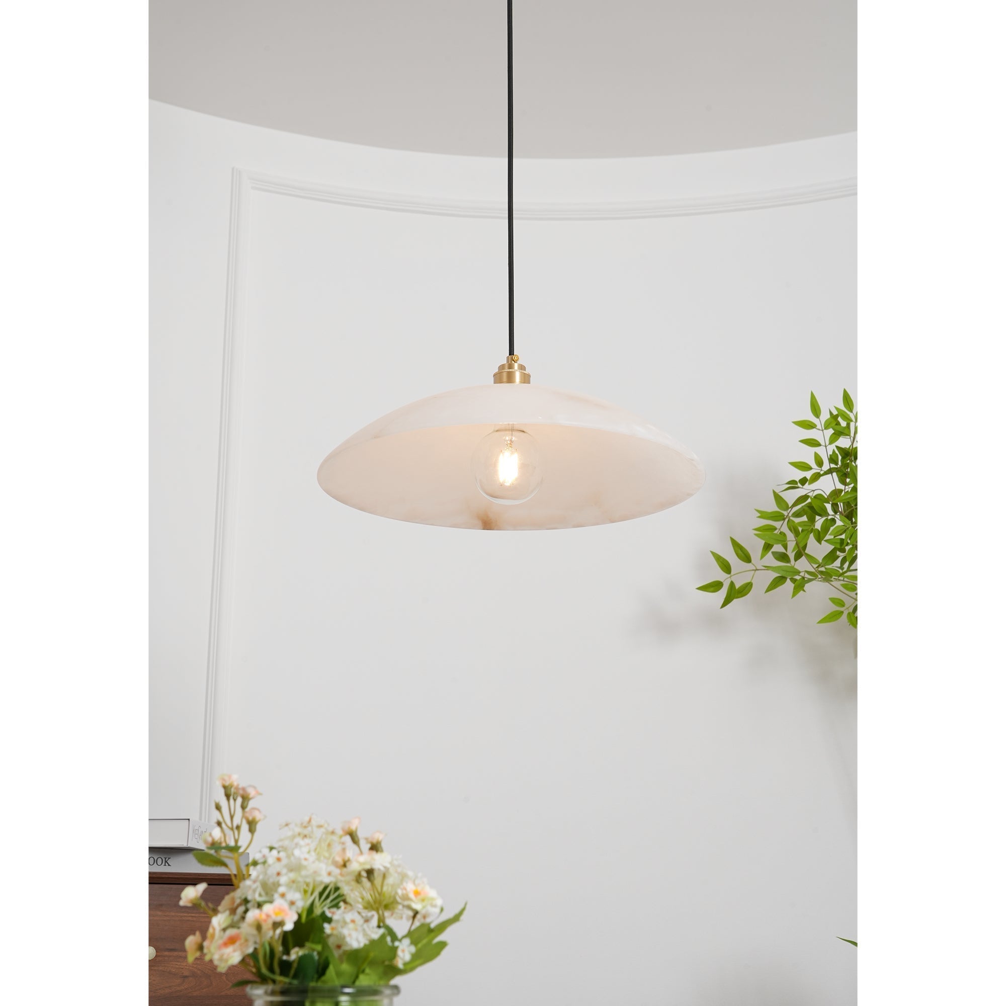 Ljomuvyd Individual Creativity Dome Pendant Light