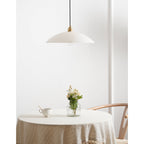 Ljomuvyd Individual Creativity Dome Pendant Light