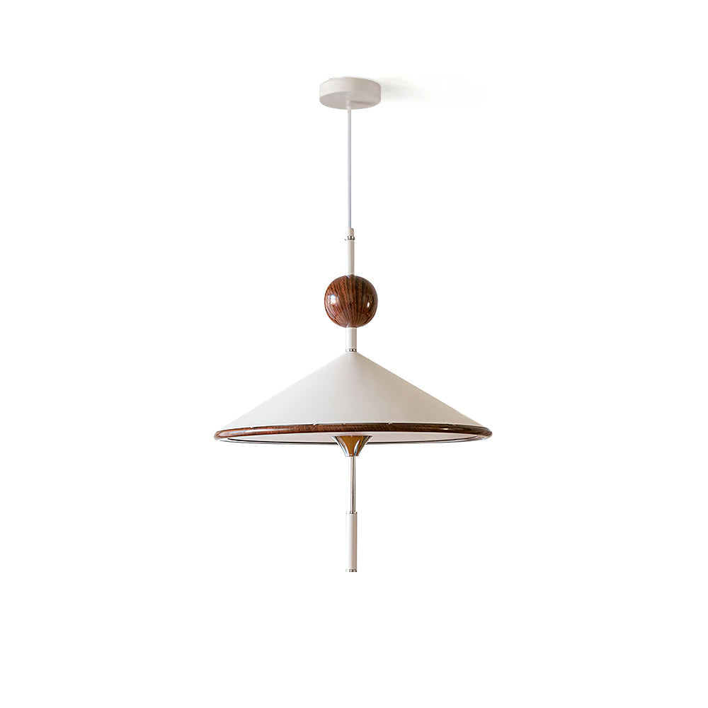 Alien Pendant Lamp Cone Shade Wood Sphere