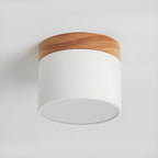 Caveleth Modern Minimalist Wooden Surface Downlight