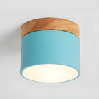 Caveleth Modern Minimalist Wooden Surface Downlight
