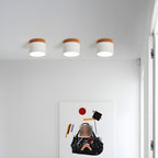 Caveleth Modern Minimalist Wooden Surface Downlight