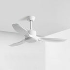Arlo Minimalist Wood Ceiling Fan Light