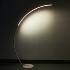 Zophaor Mid-Century Glass & Brass Wall Light