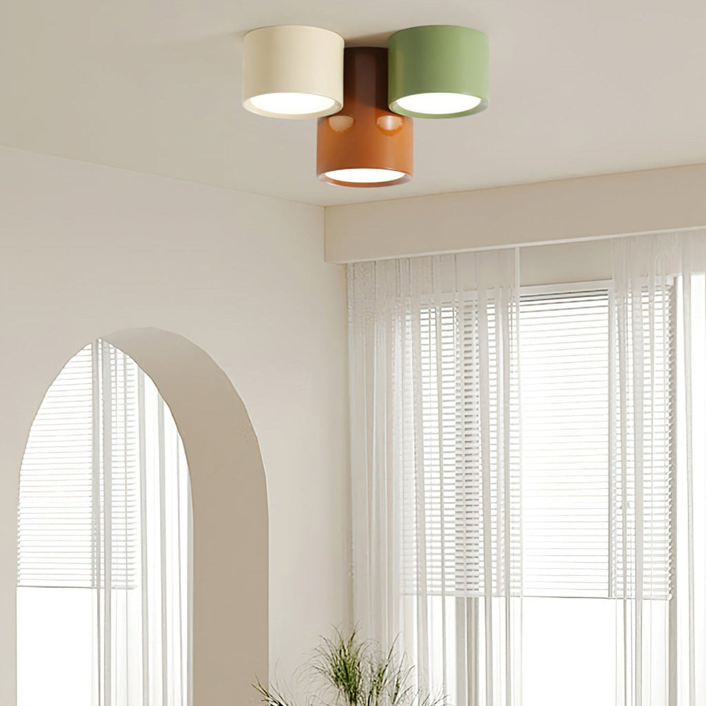 Aria  Combination Ceiling Light Colorful