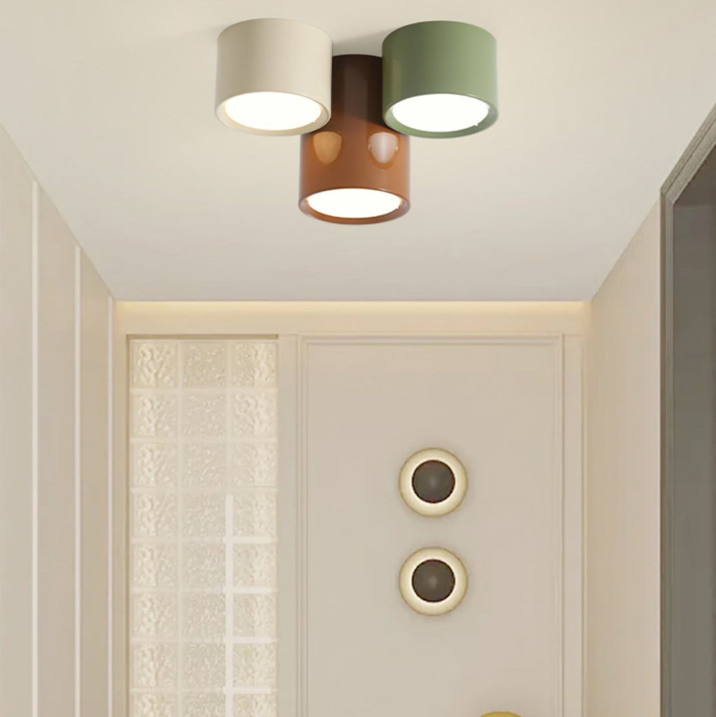 Aria  Combination Ceiling Light Colorful