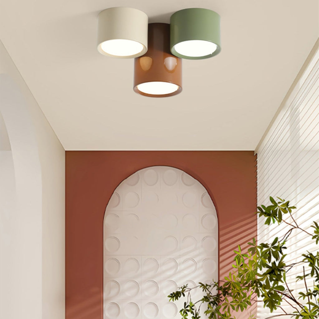 Aria  Combination Ceiling Light Colorful
