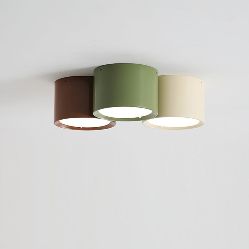 Aria  Combination Ceiling Light Colorful