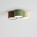 Aria  Combination Ceiling Light Colorful