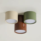 Aria  Combination Ceiling Light Colorful