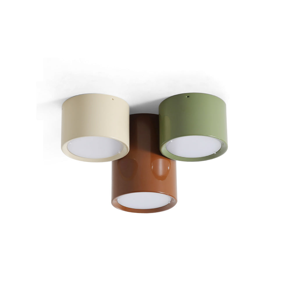 Aria  Combination Ceiling Light Colorful