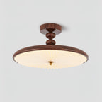 Aurelia Modern Acrylic Ceiling Light