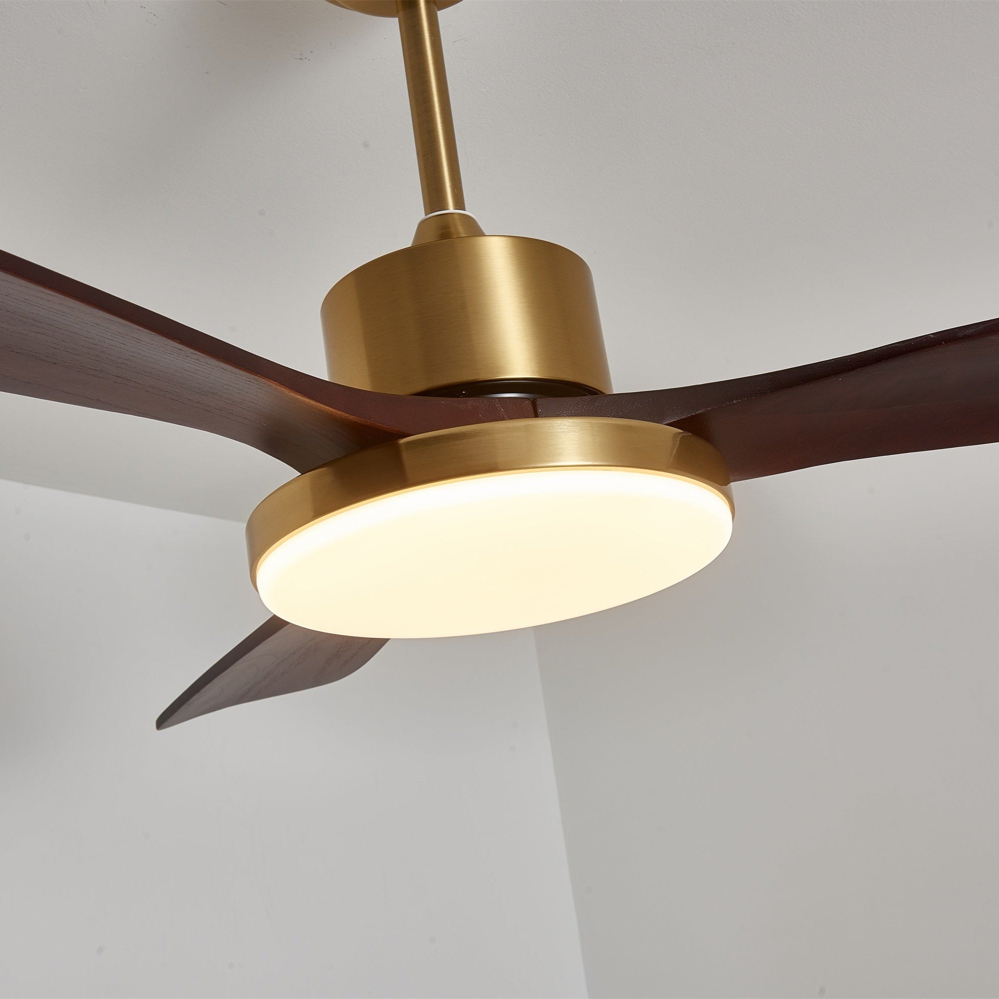 Aurelia Modern Wood Ceiling Fan Light