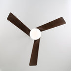 Evraeis Modern Wood Ceiling Fan Light
